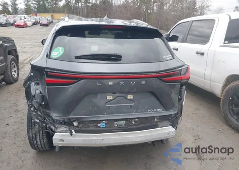 2023 Lexus Nx 250 Premium from USA, damaged, VIN JTJGDCAZ0P5013410